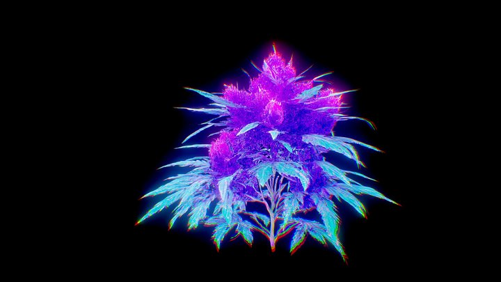 Marihuana plant purple joint grass Ganja – Modello 3D gratuito STL