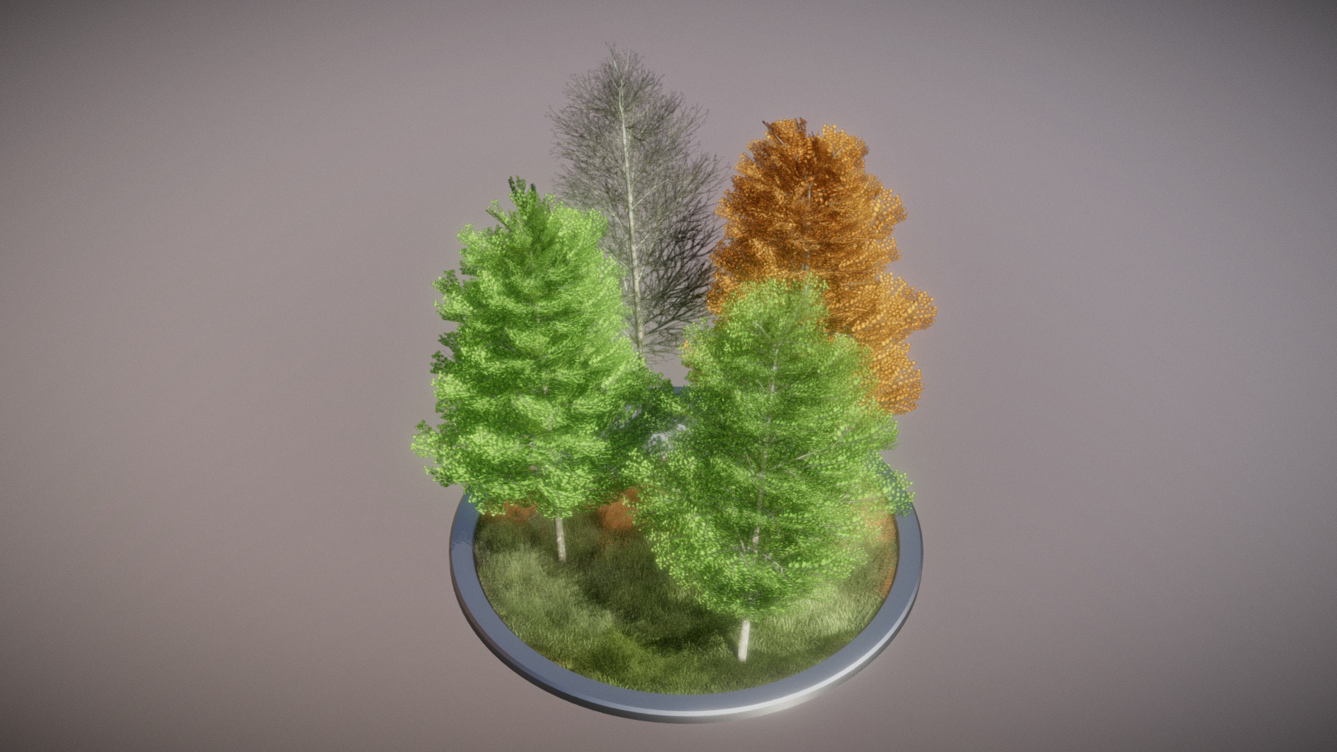 3D model Platane 12m – All Seasons - This is a 3D model of the Platane 12m - All Seasons. The 3D model is about a group of trees.