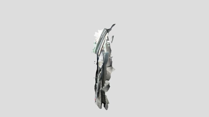 Untitled Scan 3D Model