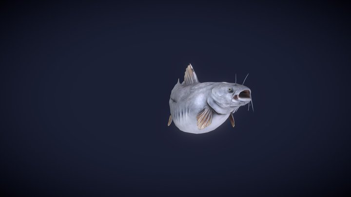 Catfish 3D Model