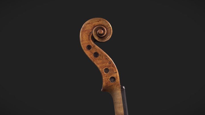 Violin - Multiband Imaging 3D Model
