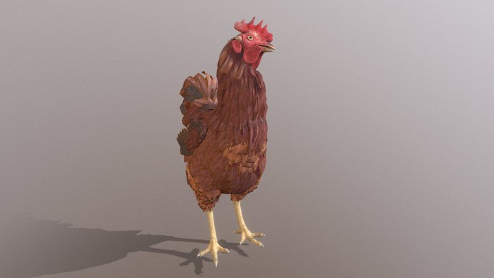 Rooster CHICKEN IDLE OBSERVING Fbx Pbr 3D Model