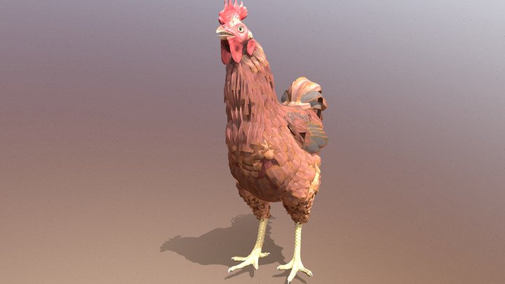 Rooster CHICKEN IDLE OBSERVING Fbx Pbr 3D Model