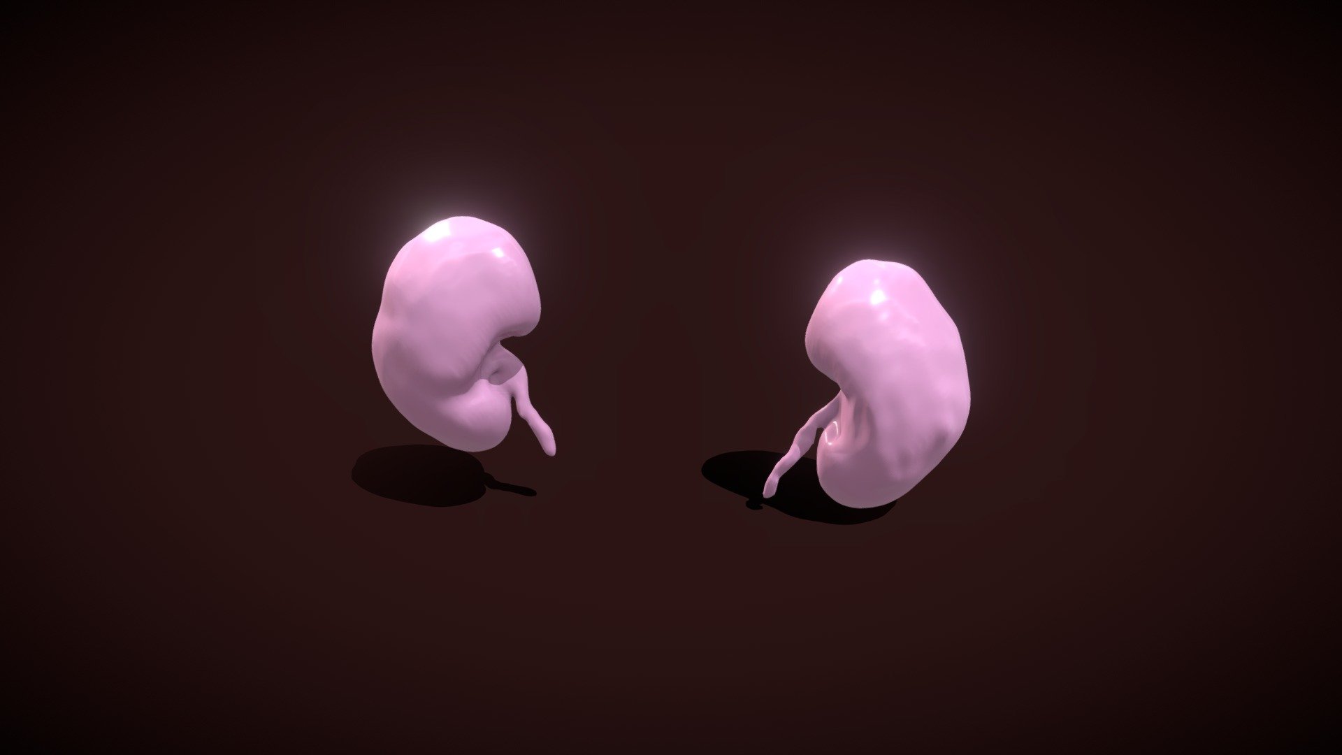 Kidneys With Ureters — Sketchfab embed 3D viewer