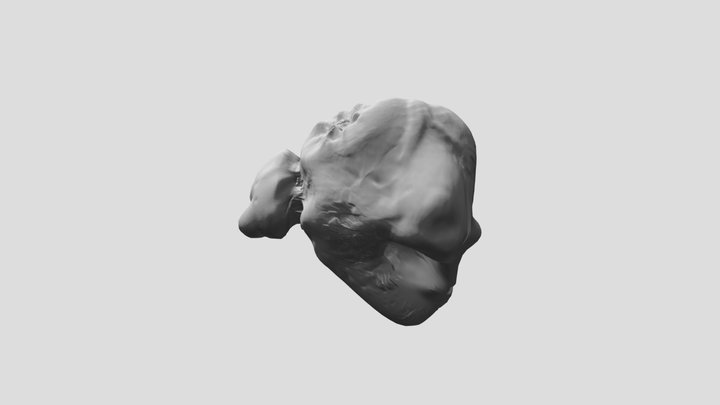 Rock5 3D Model