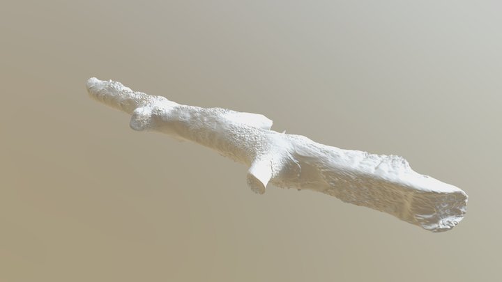 GART DR TWIG 03 3D Model