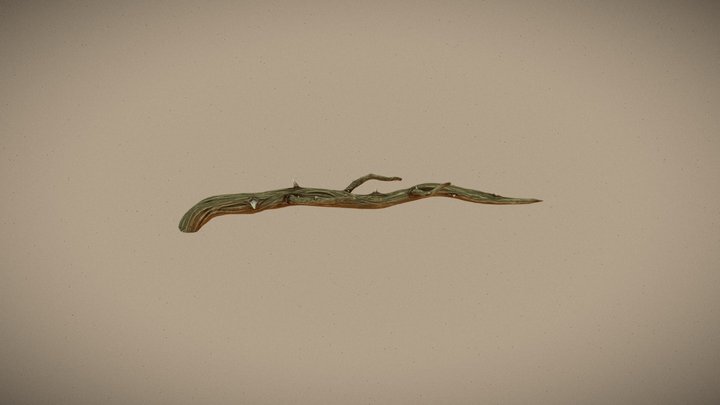 Dried Up Thorned Plant 3D Model