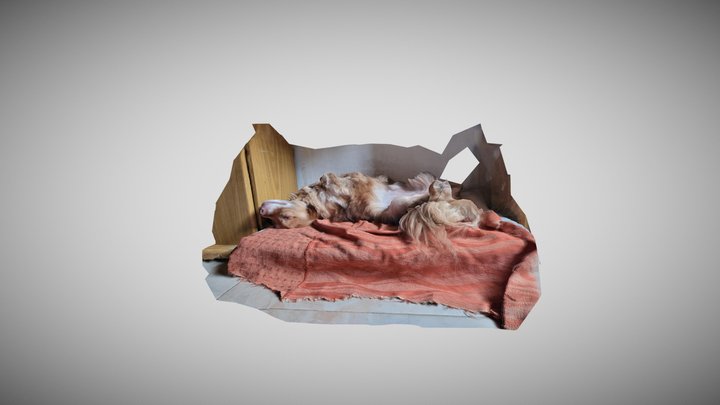 León (primera prueba) 3D Model