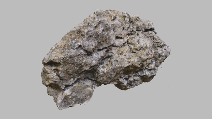Gotland Lichen Rock - RealityScan 3D Model
