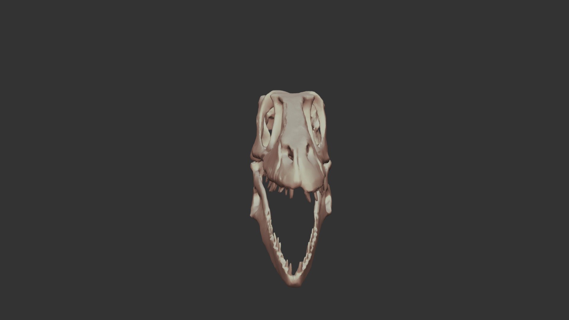 Raptor Skull - Shape Fix