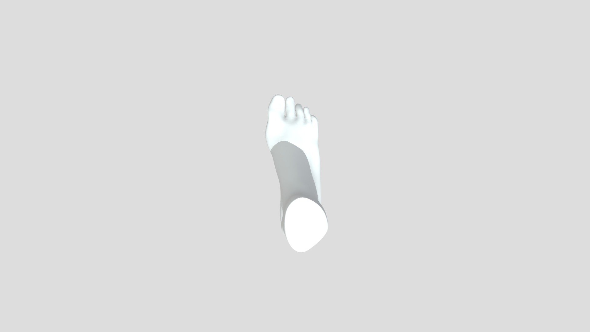 human-foot-study (1)
