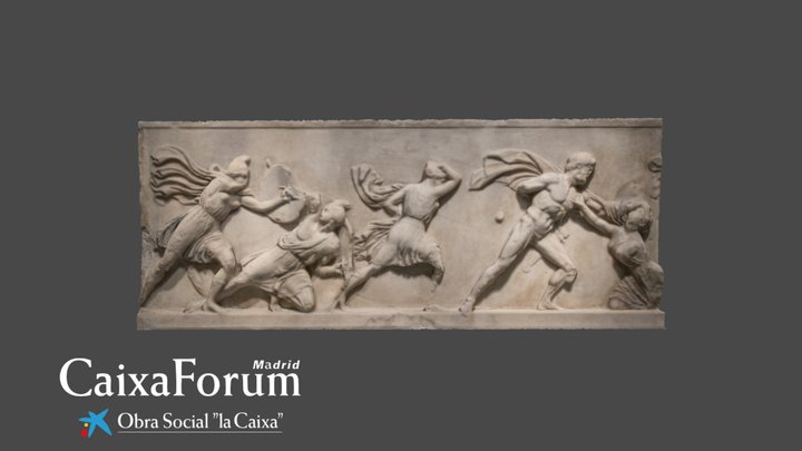 Frieze battle between Amazons and Greeks 3D Model