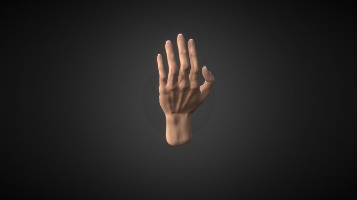 Righthand 3D models - Sketchfab