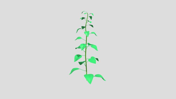 green plant 2.0 3D Model