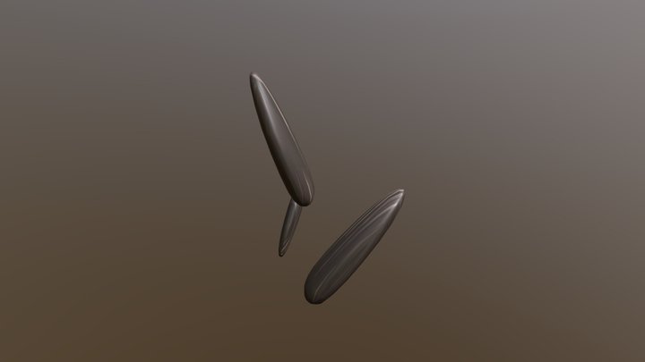 Sunflower Seeds 3D Model