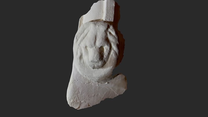 Lion's head decoration, St. Peter's, East Marton 3D Model