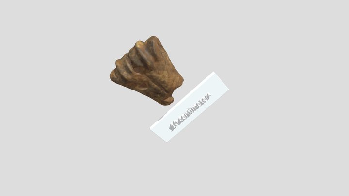 m21 3D Model