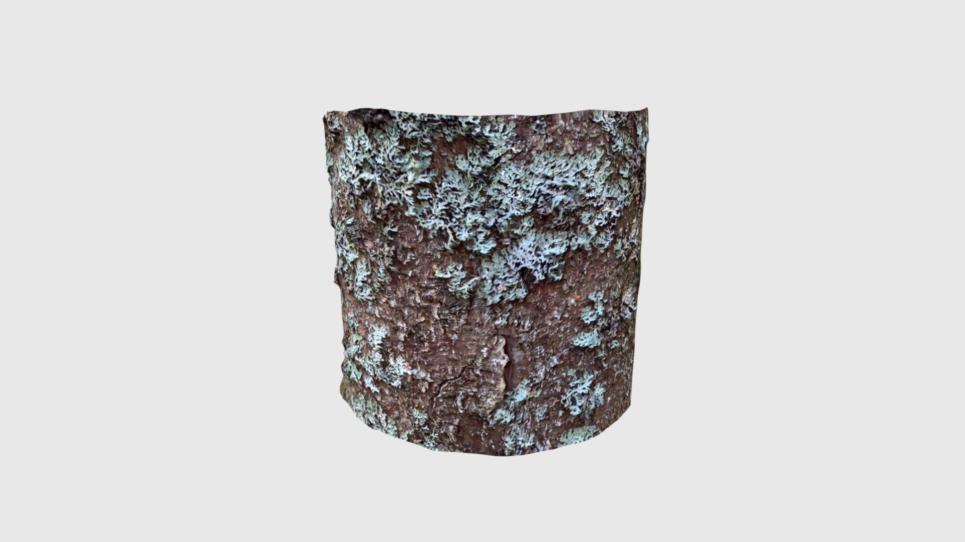 Spruce2203220905