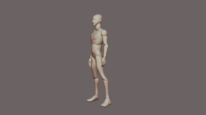 human anatomy practice 3D Model