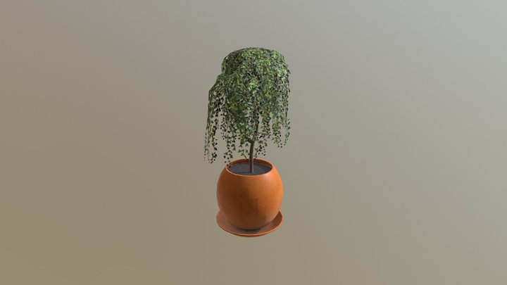 Indoor Plant Lowpoly 3D Model