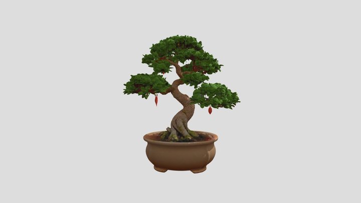 Bonsai tree 3d model 3D Model
