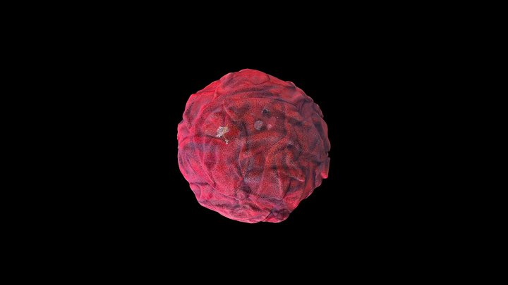 iMother - Flesh Brain  (Pointcloud) 3D Model