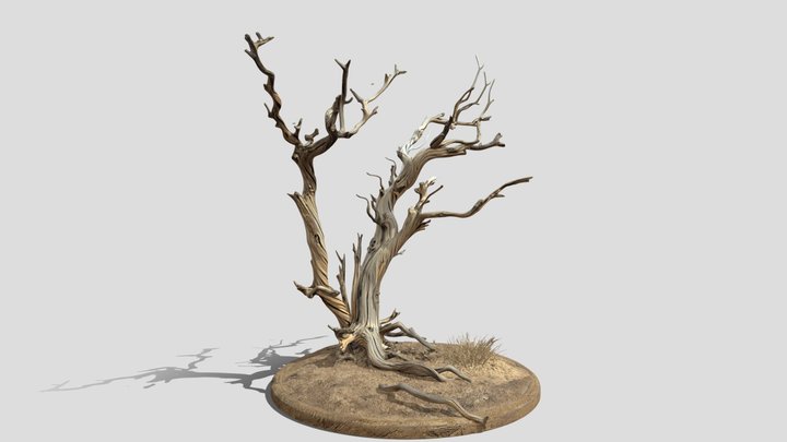 Desert tree Skeleton 3d model free – Gratis 3D-model STL