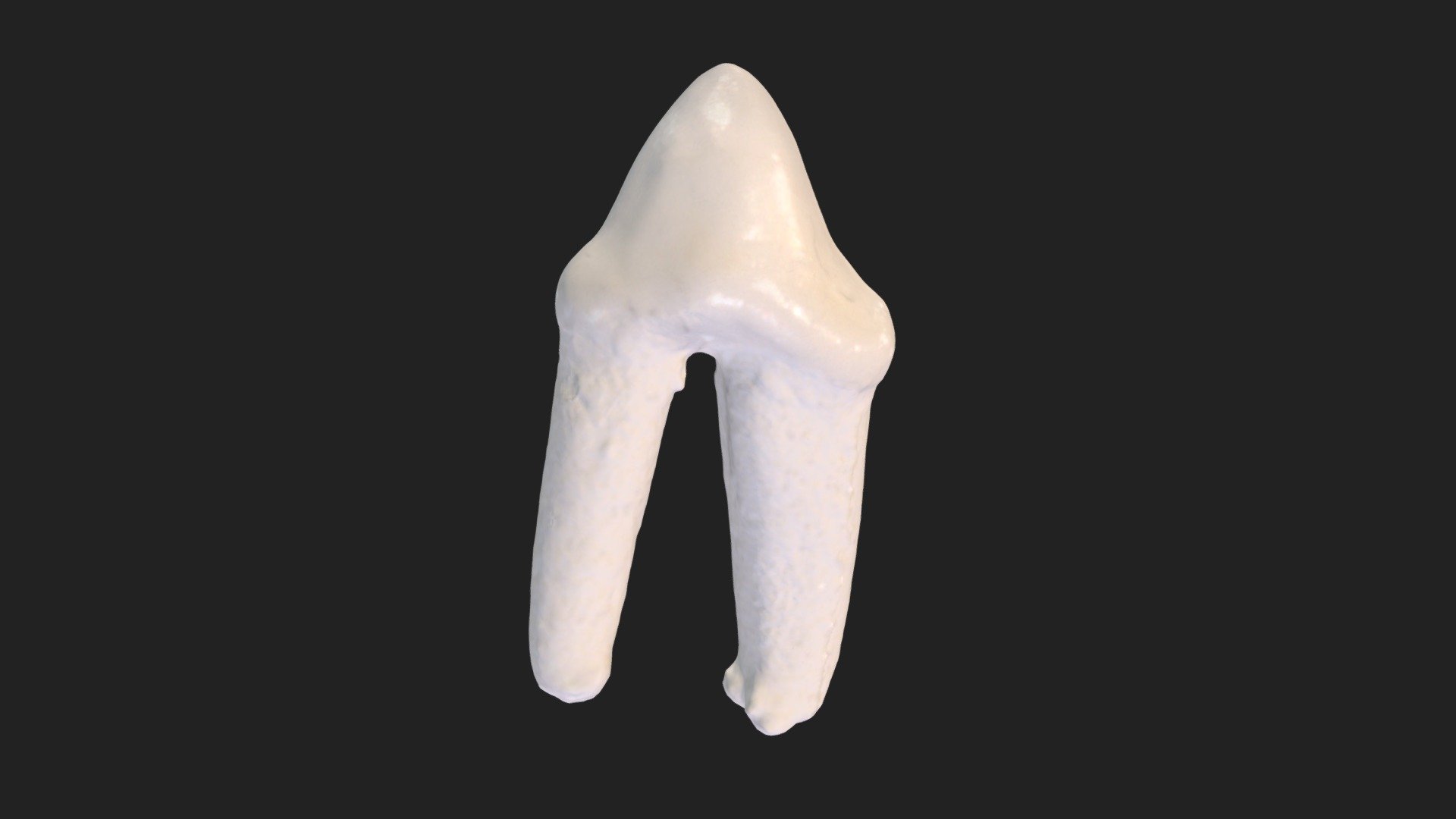 1st cheek tooth (3rd premolar) cat (lower jaw) - Download Free 3D model ...