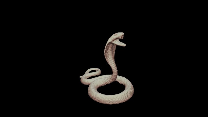 Photogrammetry Scan of a Toy Snake 3D Model