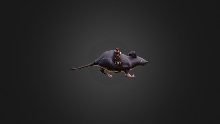 Rat with explosives Stylized 3D Model