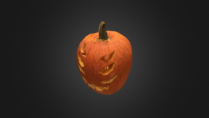 Pumpkin 13 3D Model