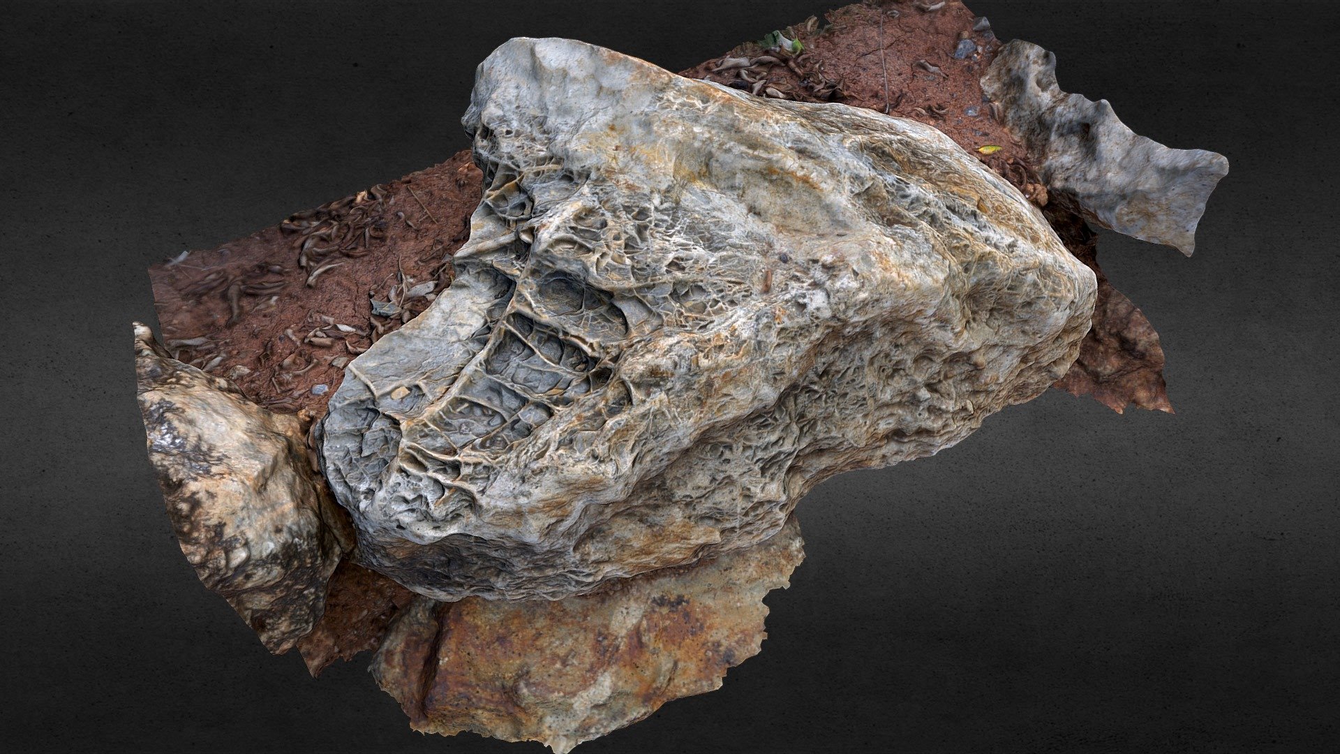 Rock with Calcite veins