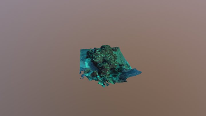 Little Notch 3D Model