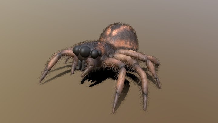 Spider 3D Model