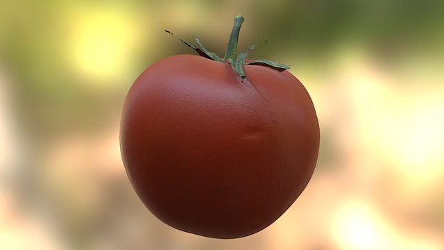 Tomato 3D Model