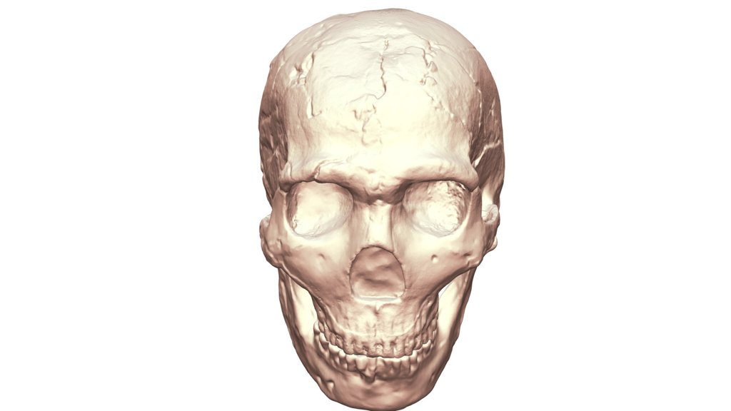 Amud 1 Neanderthal Reconstruction