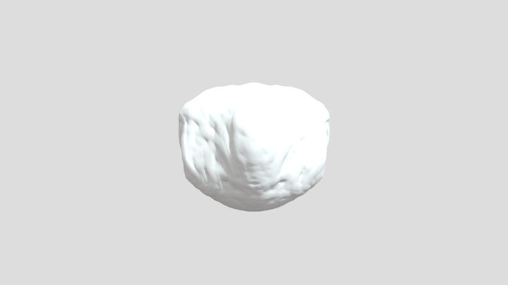 My model 3D Model