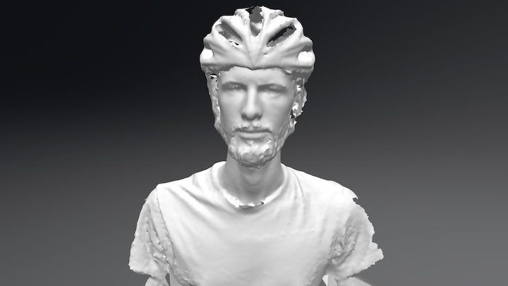 Matt helmet 3D Model