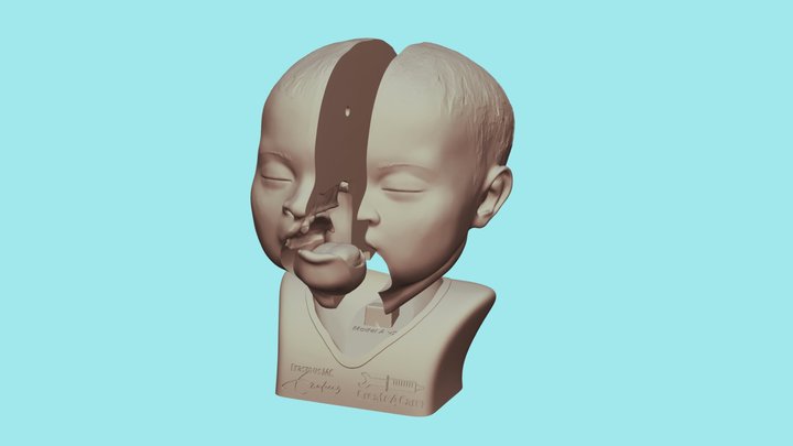 Cleft lip and palate educational model A Toet 3D Model