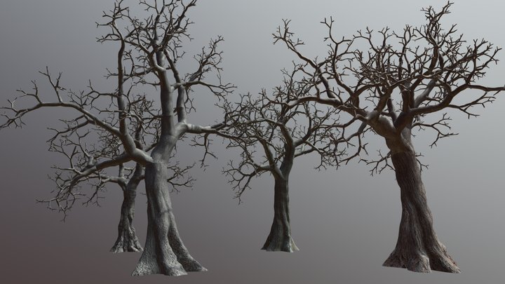 4 Linden Trees Pack (medium-Poly) 3D Model