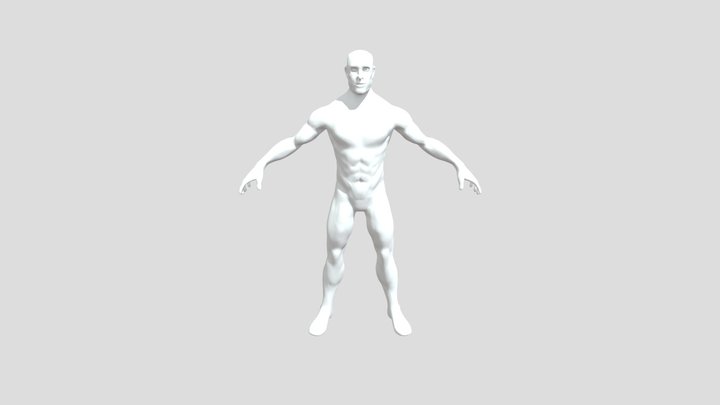 human anatomy study 3D Model