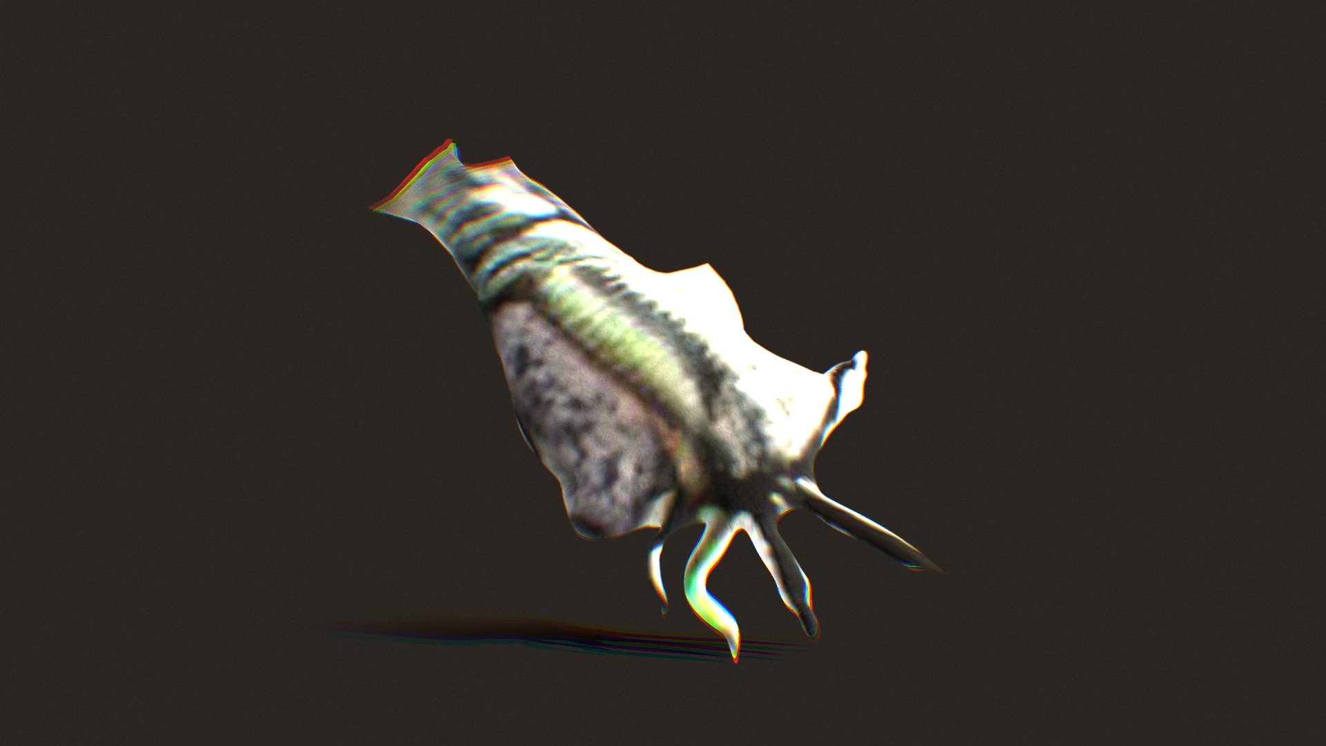 Decembug