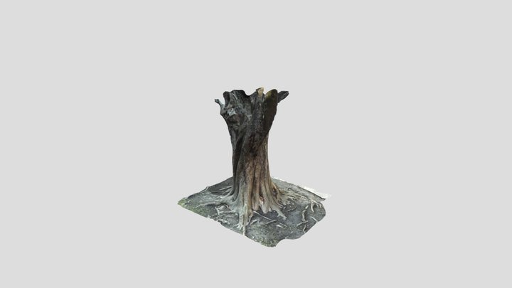 Lidar Tree 3D Model