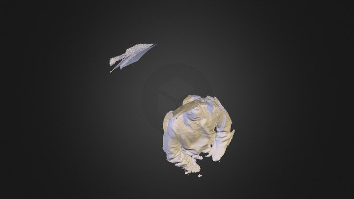 Máximo 3D Model
