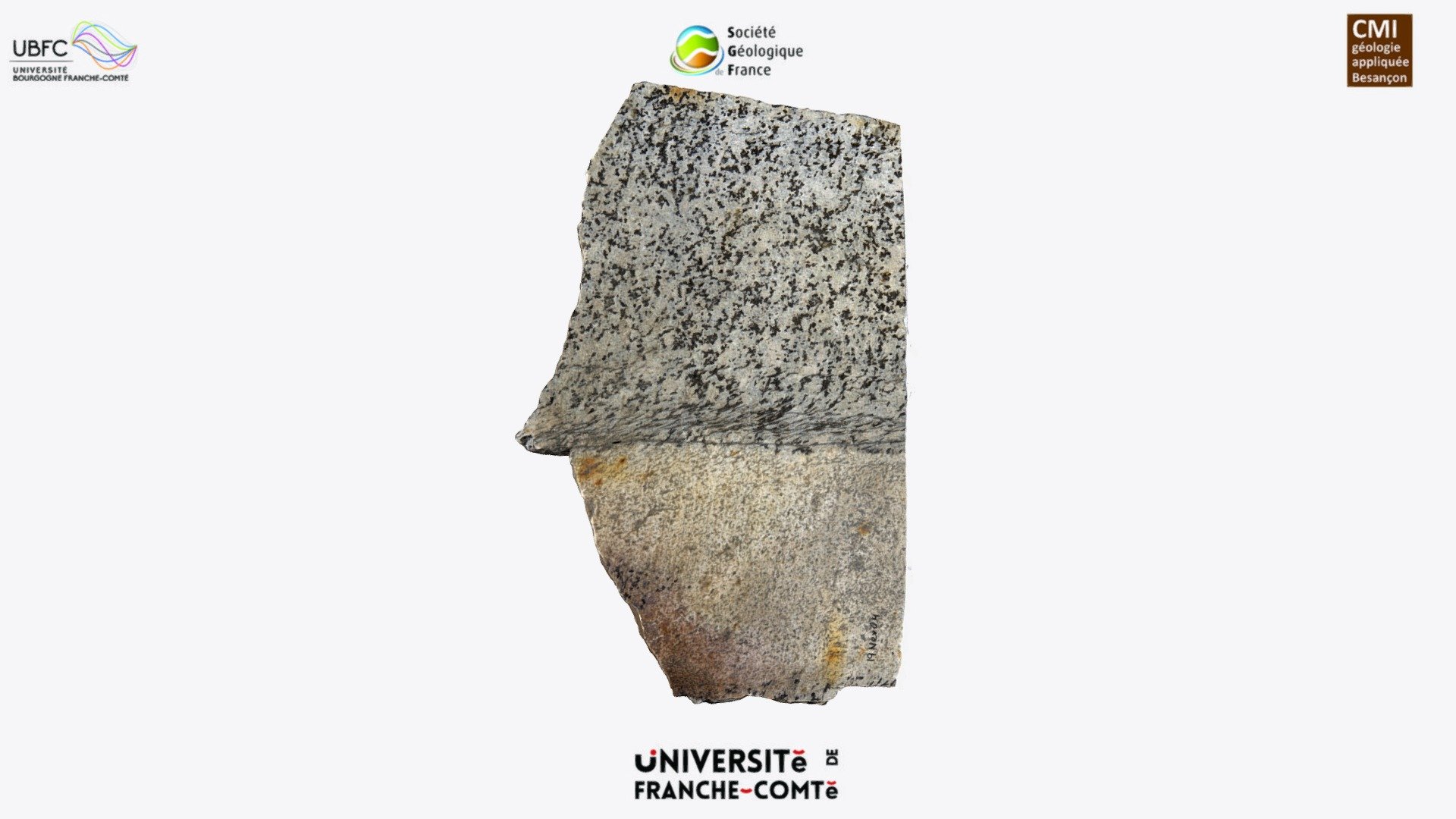 Shear zone - contact aplite