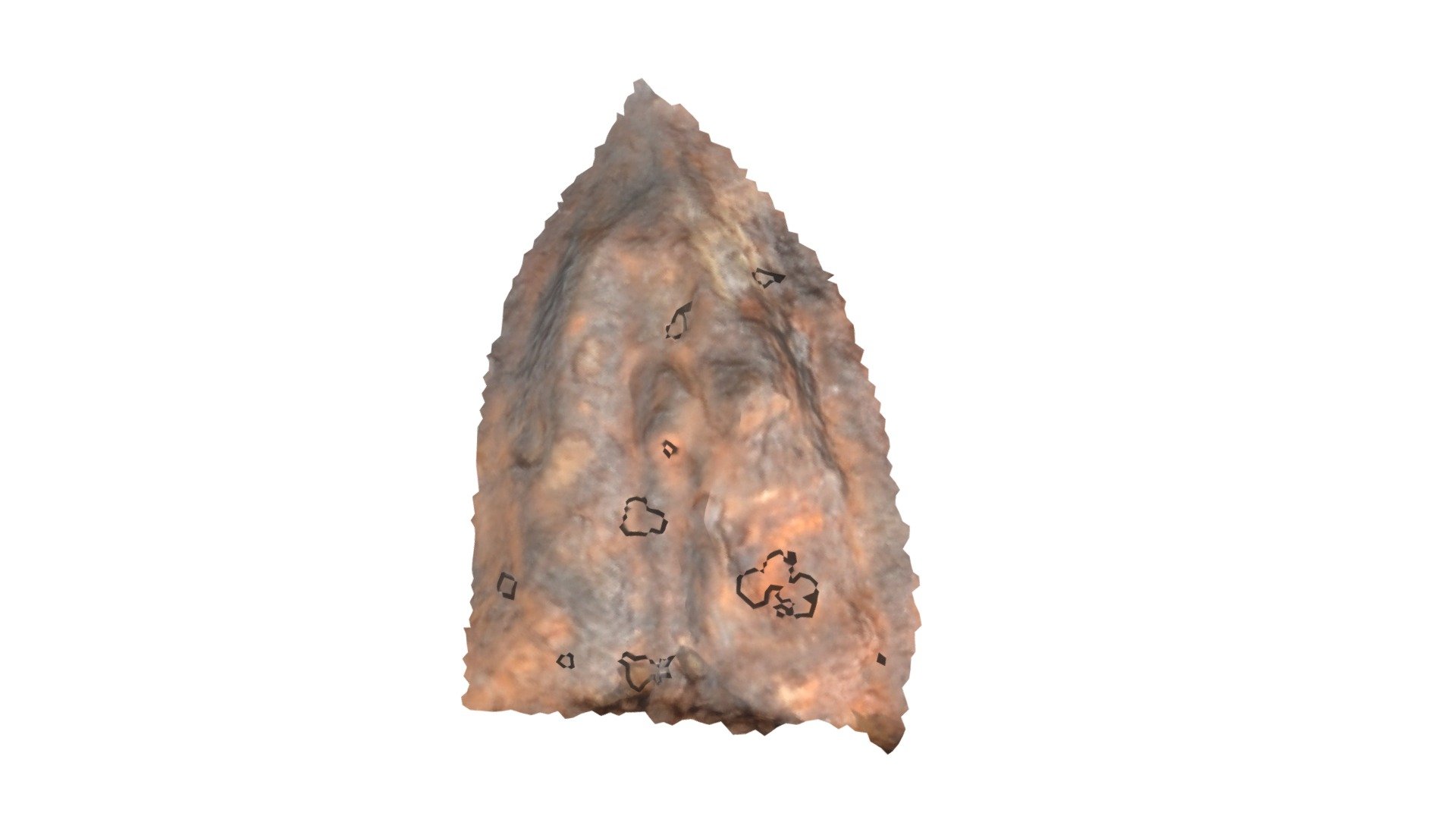 C6 - aurochs MNIR