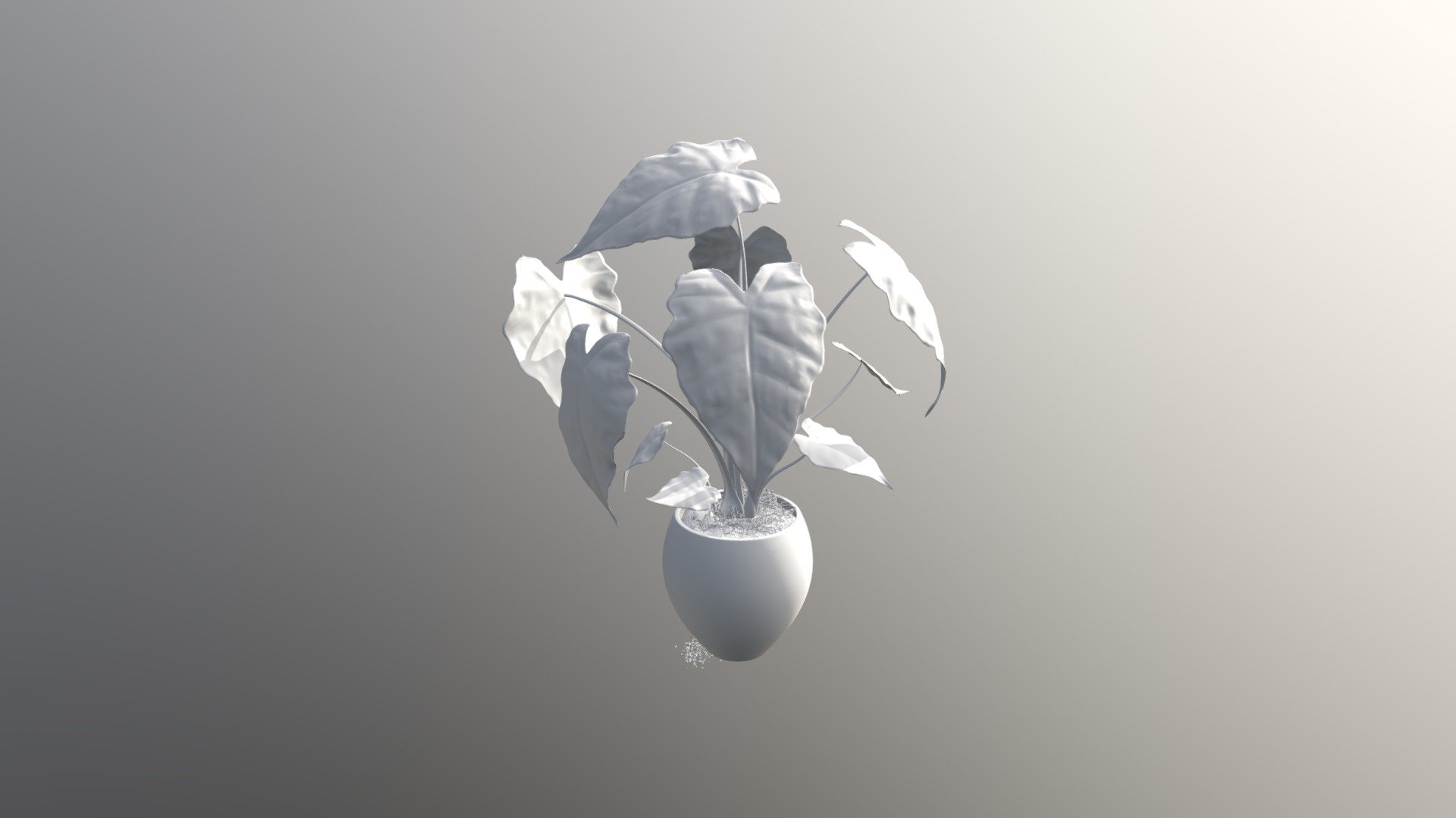 33-01alocasia Obj