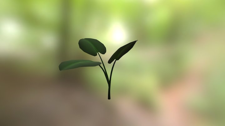 Hoja De Elefante 3D Model