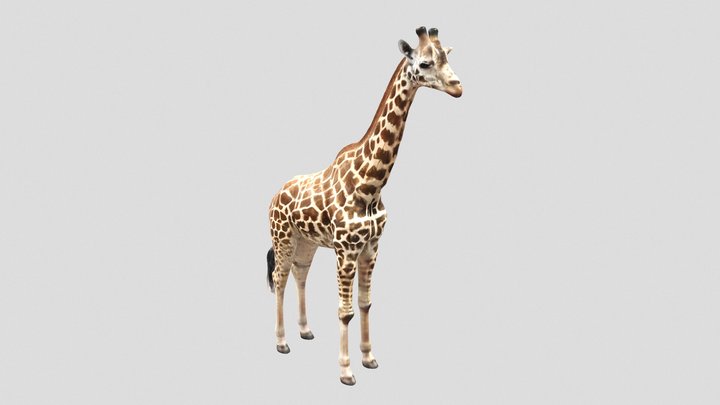 [.☥.❎.☥.]Sc𝘖rns.Cute.💛.Giraffe.💛. – Gratis 3D-model STL