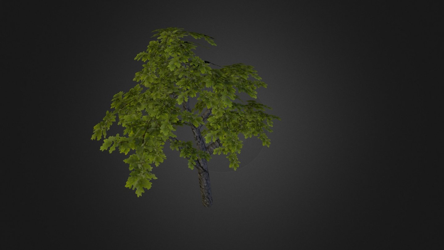 Low Poly Oak Tree - 3D model by Dieter Tack (@DieterTack) [b4a6bfe ...